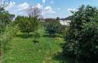 Casă batraneasca cu 3 camere-Oportunitate de Investiție in Domnesti - 4