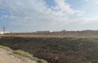 Vanzare Teren 7700 mp in Bolintin Deal - Zona Industriala - 2