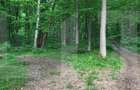 Teren intravilan, 1300 mp, Faget - 2