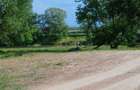 Teren intravilan 6.400 mp - pentru constructie, pietris sau balta - Paraul lui Mihai - intre Alba Iulia si Vintu de Jos - 1
