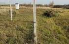 Vand teren 20 ari langa centura Satu Mare zona Ratu Mare-Balta Blonda. - 8