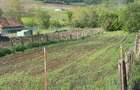 Vand teren in sat ?mig, com. Alma, Jud .Sibiu. 1625 mp. - 2