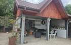 Vand casa in sat .Razvani / oras Lehliu Gara - 1