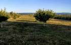 Casă în Aurel Vlaicu - 4