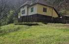 Vand casa in zona de munte, com. Podeni, jud. Mehedin?i. - 10