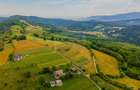 Teren Construcții de 11600 mp, în Poiana Mărului - 8