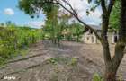 Casa de vanzare | Moldovenesti | Renovare necesara - 6
