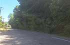 RECO Apartament cu doua camere in Padurea Neagra - 3