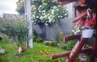Vind casa di teren in comuna voitinel str boieru - 3
