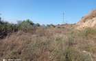 Teren Construcții intravilan de 5000 mp, în Năvodari Tabără - 7