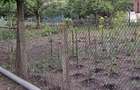 Vand gospodarie casa si teren ,gradina - 32