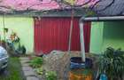 Casa cu teren 2800 mp in Baita - 4