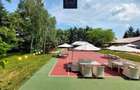 Casa | Piscina | Teren de tenis| Oaza de liniste | Belciugatele lac - 9