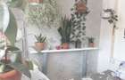 vand apartament resita - 5