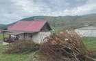 Casă cu 1 camere în Mociu - 5