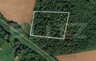 Parcela 10.000 mp la liziera padurii, ?ag front strad - 1