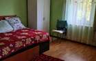 Casă cu 2 camere cu Teren 1200 Mp în Bucinișu - 2
