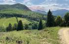 Teren de 6000 mp, în Dălghiu - 4