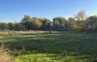 Vand casa Pescareasca pe malul Dunarii, Peceneaga, Tulcea - 2