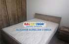 Apartament cu 2 camere decomandat în Gorjului - 4