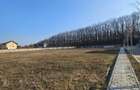 Teren Construcții intravilan de 3937 mp, în Corbeanca - 2