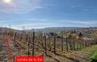 Teren intravilan 1308 mp Rediu | 9 min Copou / Pacurari - 6