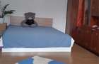 Inchiriez Apartament 2 camere Dristor - 4
