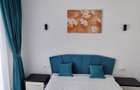 Apartament cu 2 camere decomandat în Podu Roș - 7