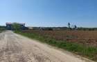 Teren de 583 mp, în Snagov - 3