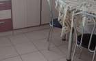 Apartament cu 3 camere decomandat în Timișoara - 3