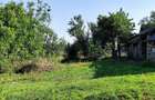 Casa la tara, Calea Mare, Bihor, teren mare, 2 intrari auto vanzare - 13