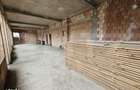 Spatiu Comercial, cu Proiect Mixt Comercial & Rezidential, Vad Excelen - 2