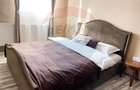 Apartament cu 2 camere semidecomandat în Centru Civic - 8