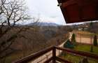 Casă de vânzare Bran Sohodol teren  intravilan 4.831 mp două locuințe - 24