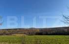 5 terenuri extravilane agricole cu suprafata totala de 13.37 - 5