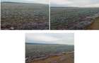 Teren extravilan Snagov, ID: R2884549 - 3