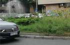 Casă cu 4 camere cu Teren 185 Mp în P-ța Victoriei - 8