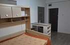 Apartament 1 camere zona Terezian - 3