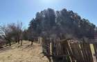 A 1683 De vanzare casa saseasca in Mure?- Balauseri - 3