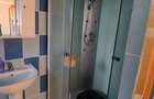 Casă cu 2 camere cu Teren 1200 Mp în Bucinișu - 8