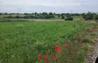 Vand teren Mariuta - Belciugatele-1000mp - Intravilan - 30/mp-Direct Proprietar - 1