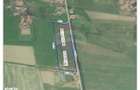 Teren intravilan industrial de vanzare - 9505 mp - Tileagd - 1