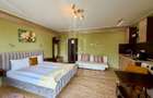 Afacere regim hotelier de vanzare -zona centrala - 12