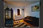 Apartament 1 camera Dristor - 9