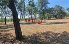 Teren Construcții intravilan de 5898 mp, în Exterior Vest - 4