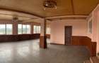 Spațiu comercial, de 605 mp, în Conop - 3