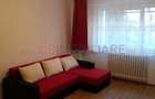Apartament cu 2 camere decomandat în Banu Manta - 6