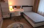Inchiriez apartament 4 camere decomandat cu GARAJ, LIBER DIN DATA DE 01.07.2026. - 13