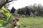 Teren intravilan de 572 mp, în Băicoi - 8