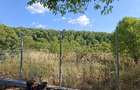 Teren intravilan premium de vanzare Snagov, Locatie exclusivista, fara riscuri - 6